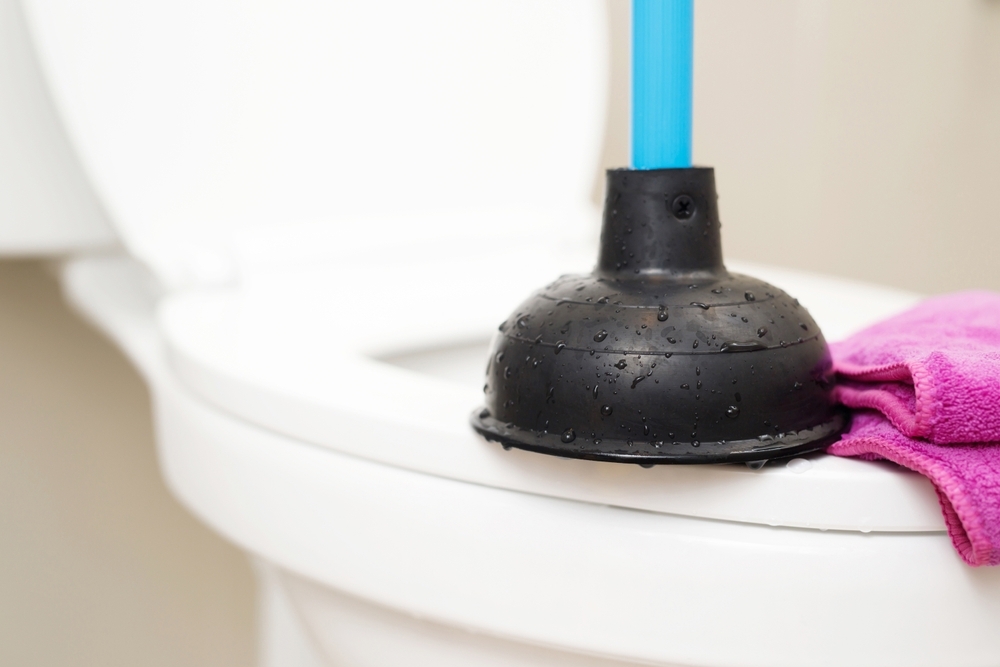 shutterstock_2277694965 Plunger on Toilet